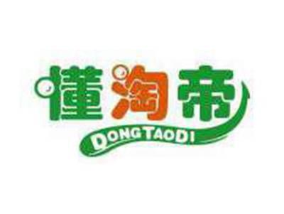 懂淘帝