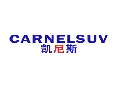 凯尼斯CARNELSUV