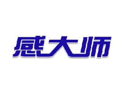 感大师