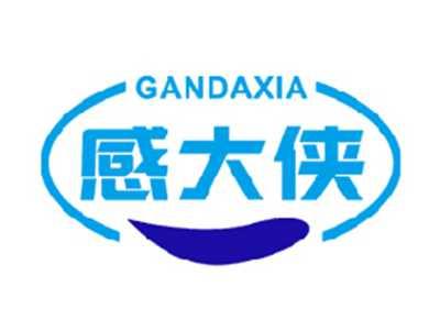 感大侠