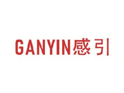 感引