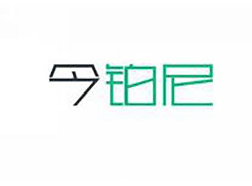 今铂尼