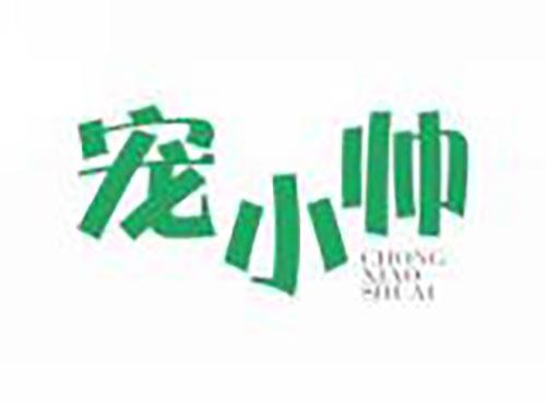 宠小帅