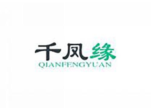 千凤缘