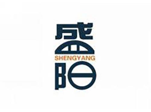 盛阳