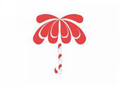 美国雨伞