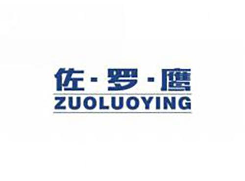 佐罗鹰