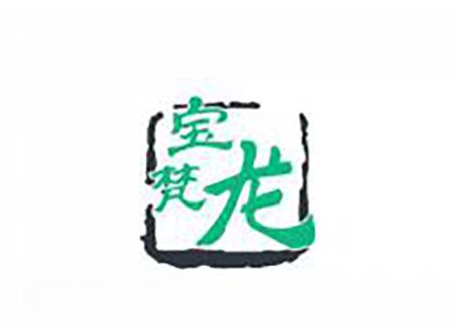 宝梵龙