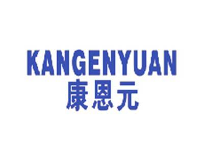 康恩元