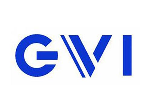 GVI