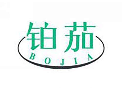 铂茄
