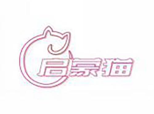 启蒙猫