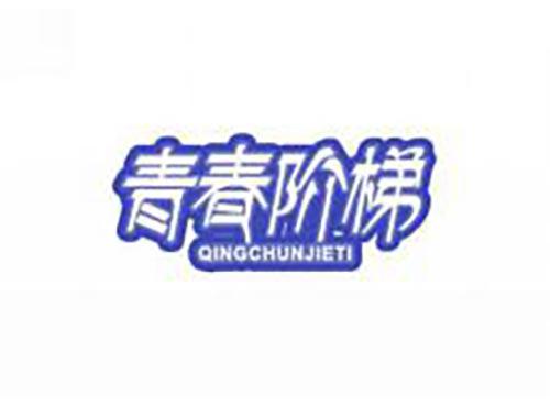 青春阶梯