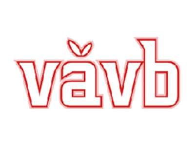 VAVB