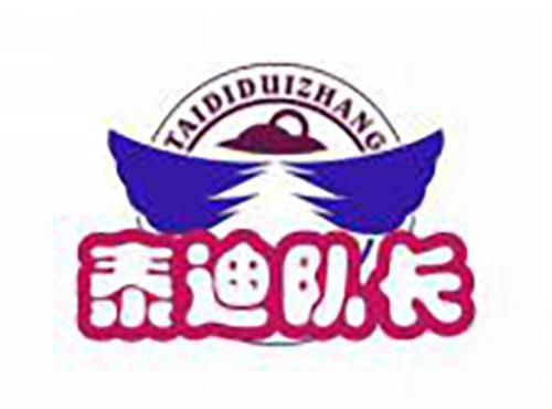 泰迪队长