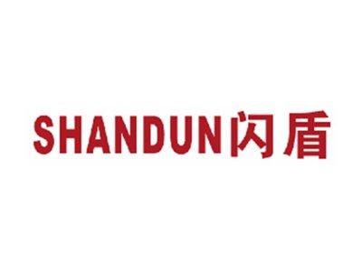 闪盾