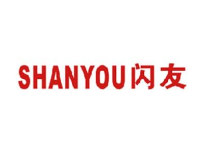 闪友
