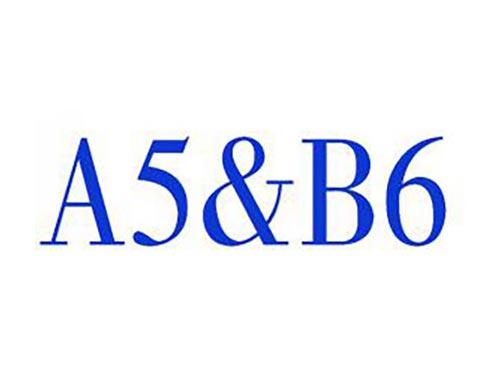 A5＆B6