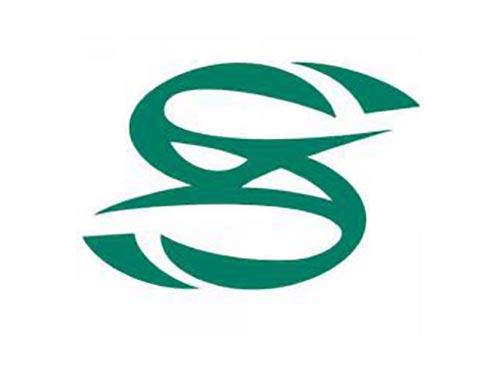 斯凯奇