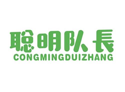 聪明队长