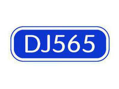 DJ565