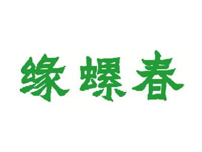 缘螺春