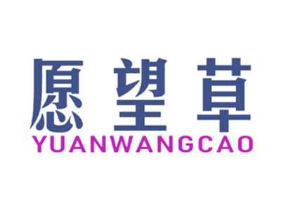愿望草