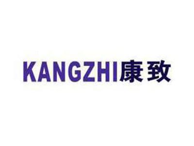 康致