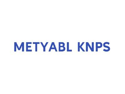 METYABLKNPS