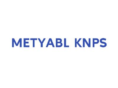 METYABLKNPS