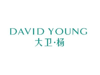 大卫杨DAVIDYOUNG