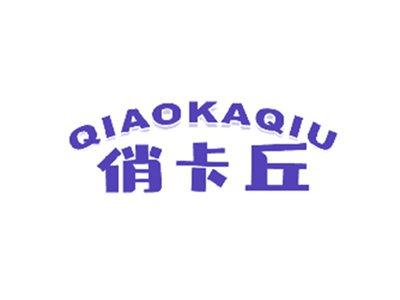 俏卡丘