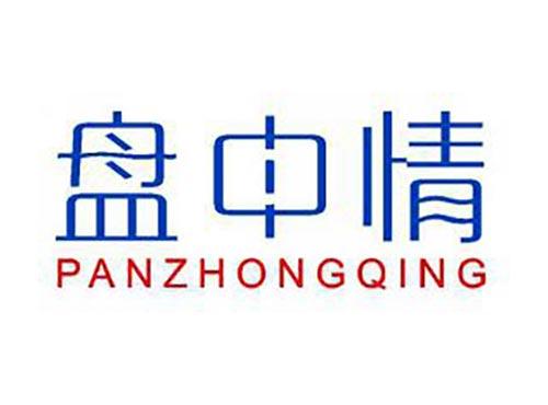 盘中情