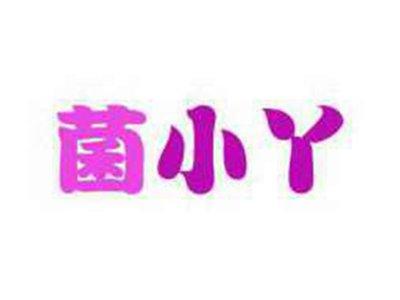 菌小丫