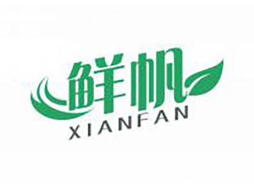 鲜帆