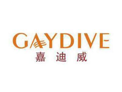 嘉迪威GAYDIVE
