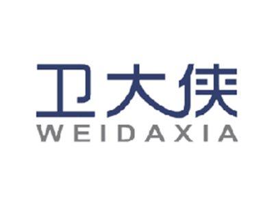 卫大侠