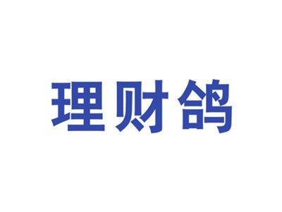 理财鸽