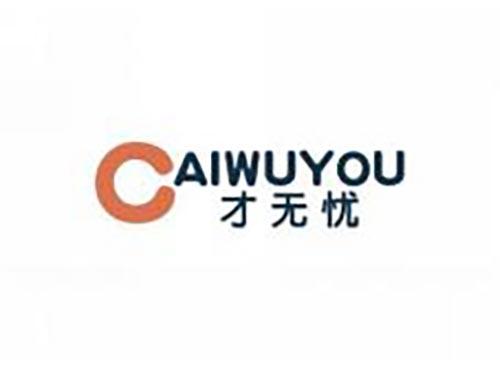 才无忧
