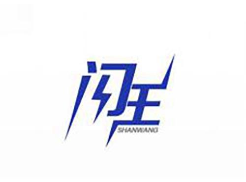 闪王