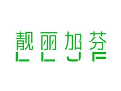 靓丽加芬LLJF