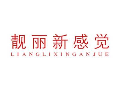 靓丽新感觉