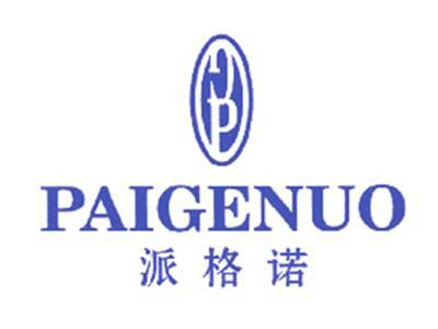 派格诺P