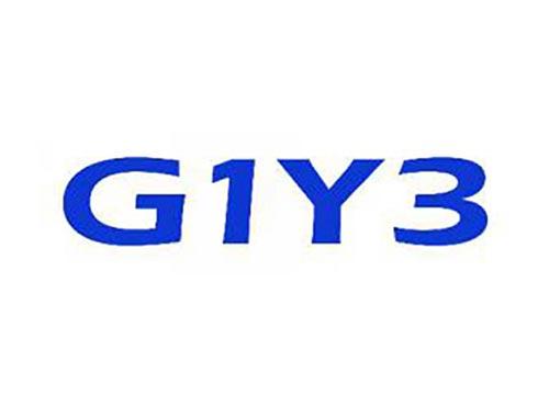 G1Y3