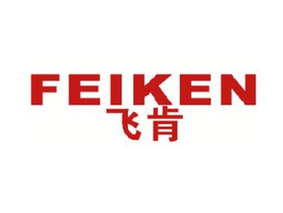 飞肯