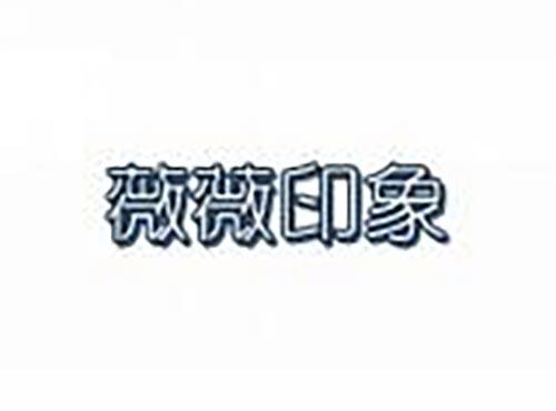薇薇印象