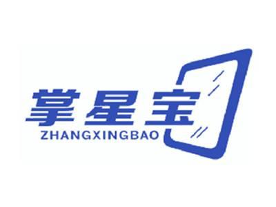 掌星宝
