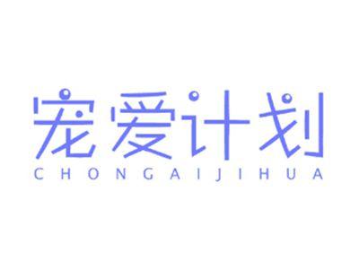 宠爱计划