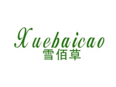 雪佰草