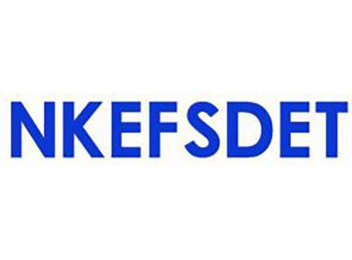 NKEFSDET